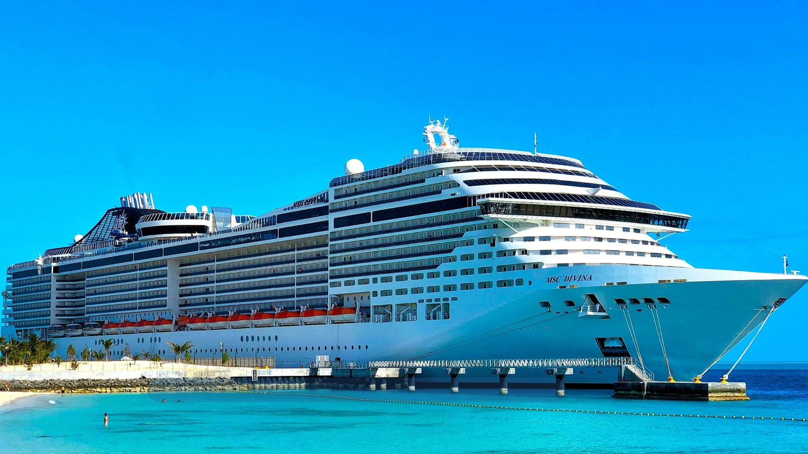 Cruise Insights banner
